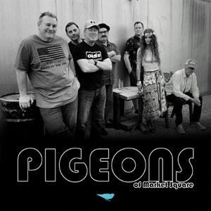 Pigeons of Market Square